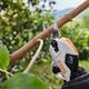STIHL akkuoksasakset setti ASA 20.0 sis. AS2 ja AL1